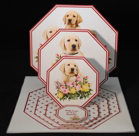 Puppies & flowers octagonal triple easel card and matching envelope. by Yvonne Middleton