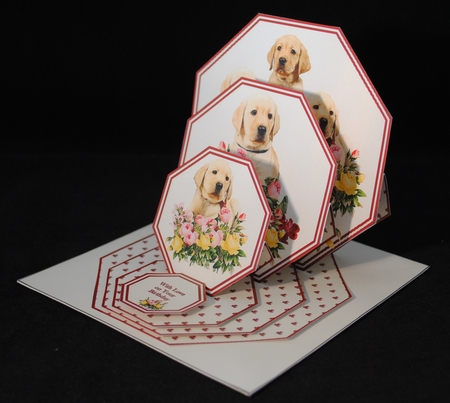 Puppies & flowers octagonal triple easel card and matching envelope. by Yvonne Middleton