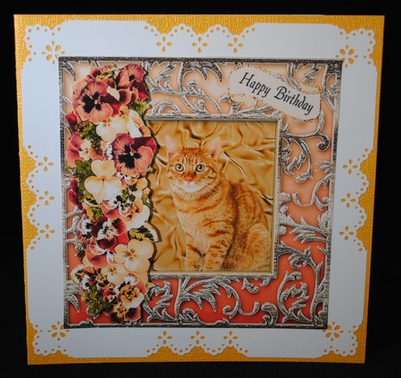 Cute Cat 2 by Yvonne Middleton