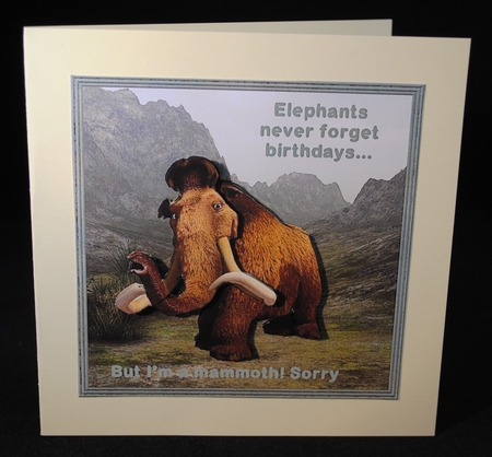 IM A MAMMOTH BELATED BIRTHDAY TOPPER by Yvonne Middleton