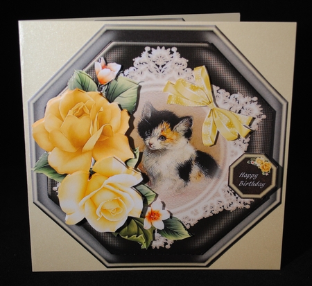 Easter Cat by Yvonne Middleton