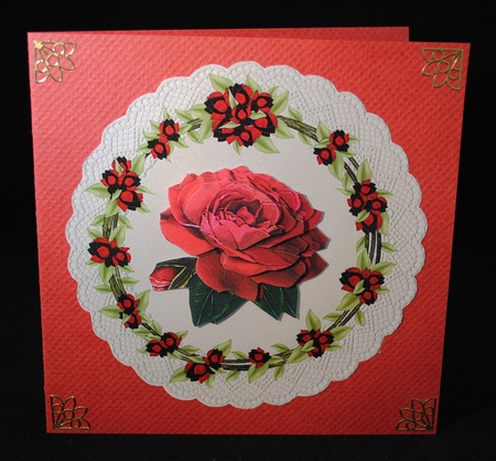 Floral lace Doilies  by Yvonne Middleton