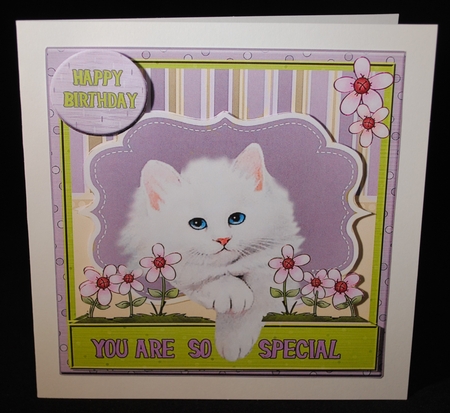 Bumber kit -You Are So Special -HUGE 15 design sheets by Yvonne Middleton