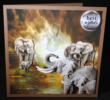 elephants having fun by Yvonne Middleton