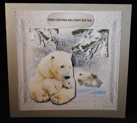 a polar christmas by Yvonne Middleton