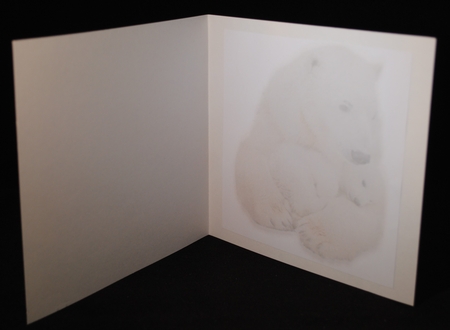 a polar christmas by Yvonne Middleton