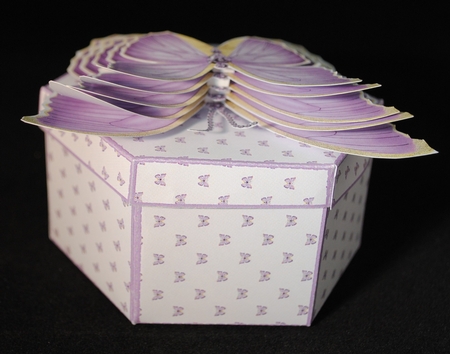 Hexagonal butterfly box and rocker card (lilac) by Yvonne Middleton