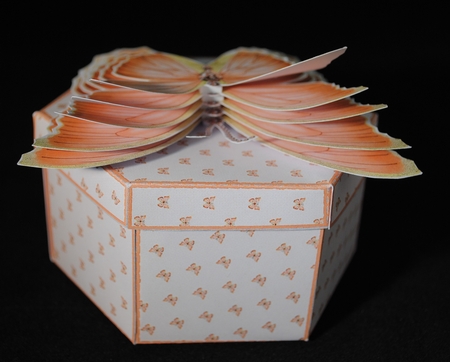 Hexagonal butterfly box and rocker card (Coral) by Yvonne Middleton