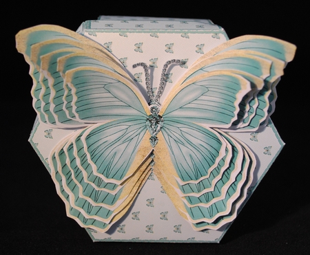 Hexagonal butterfly box and rocker card (Green) by Yvonne Middleton