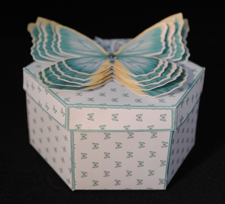 Hexagonal butterfly box and rocker card (Green) by Yvonne Middleton