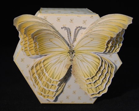 Hexagonal butterfly box and rocker card (lemon) by Yvonne Middleton