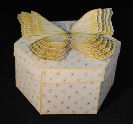 Hexagonal butterfly box and rocker card (lemon) by Yvonne Middleton