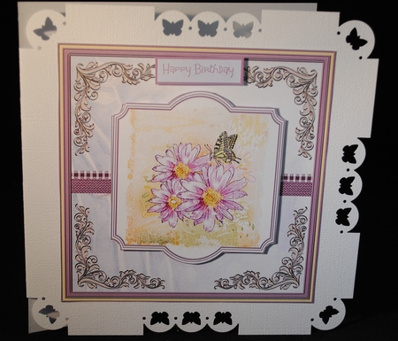 Lilac daisy by Yvonne Middleton