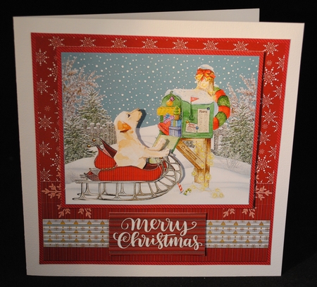 What Have I Got For Christmas by Yvonne Middleton