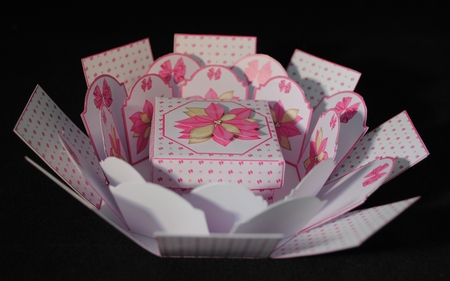 Pink poinsettia octagonal exploding box card with gift box. by Yvonne Middleton