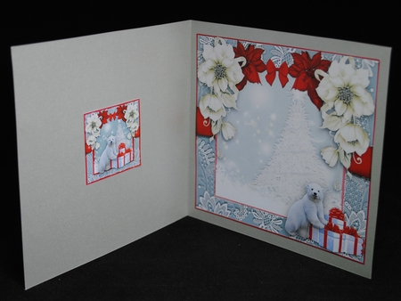 Polar Wishes by Yvonne Middleton