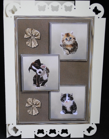 Puppies and Kittens 3 squared card front by Yvonne Middleton