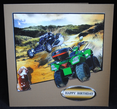 racing by Yvonne Middleton