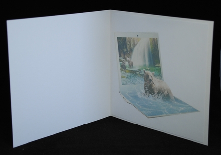 fishing bears by Yvonne Middleton