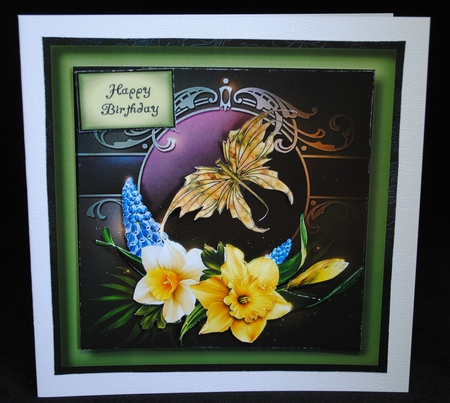 Dance Of The Daffodils by Yvonne Middleton