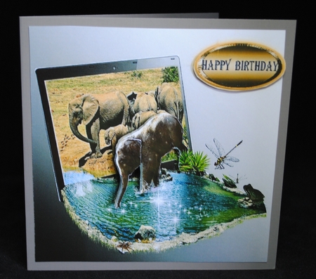 at the watering hole by Yvonne Middleton
