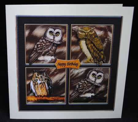 Owl Birthday or Retirement  by Yvonne Middleton