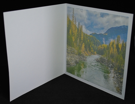 at one with nature by Yvonne Middleton