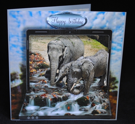 elephant family by Yvonne Middleton