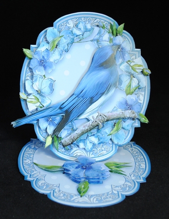 Feathered Friends Shaped Easel Bumper-1 by Yvonne Middleton