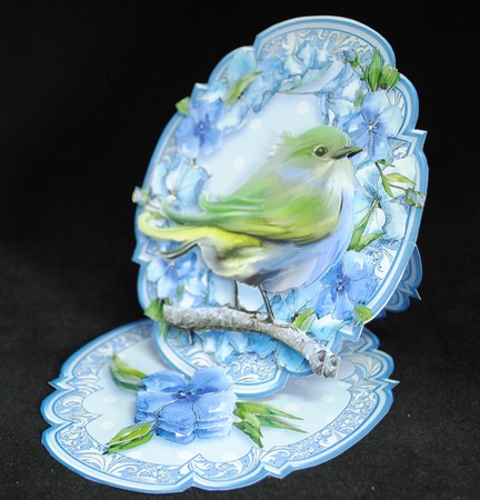Feathered Friends Shaped Easel  Kit-6 by Yvonne Middleton