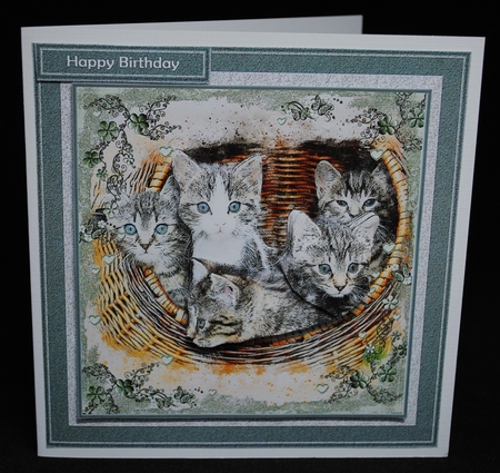Sweet Cats Mini Kit by Yvonne Middleton