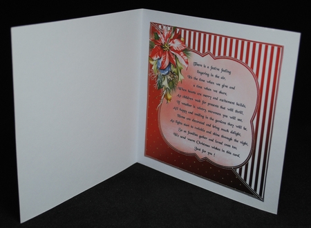 Festival Christmas Red by Yvonne Middleton