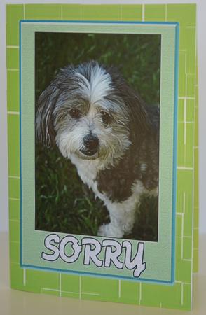 Sorry I Missed Your Birthday by Yvonne Middleton