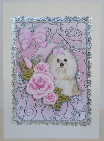 Cute Little Westie with Pink Roses A4 by Yvonne Middleton