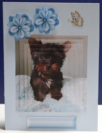 Cute Little Terrier, Pyramids by Yvonne Middleton