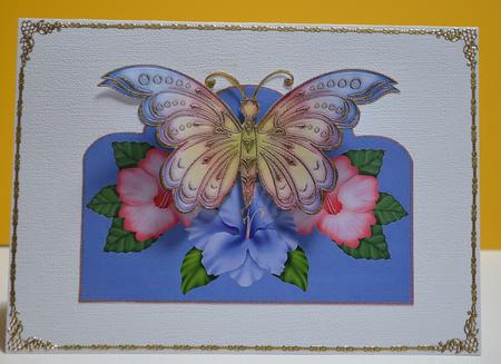 Butterfly Beauty by Yvonne Middleton