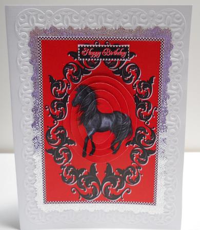 Black Stallion by Yvonne Middleton