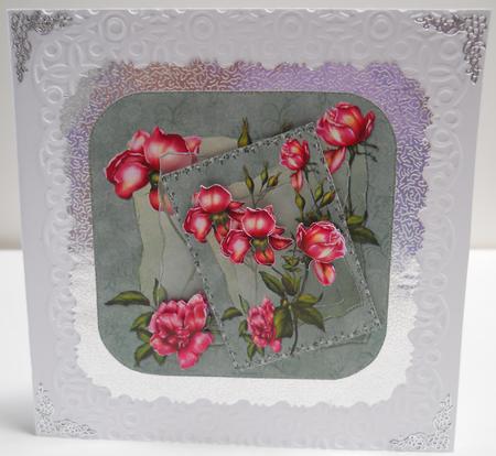 Glory Rose by Yvonne Middleton
