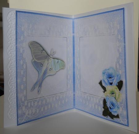 Enchanted Blooms 2 Insert by Yvonne Middleton