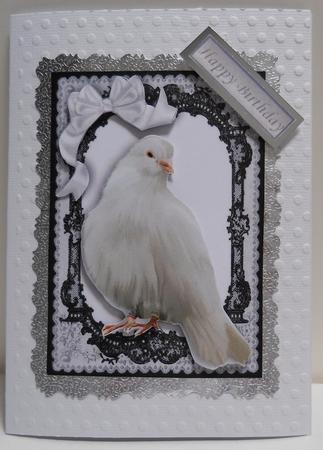 White Dove in Black Lace Frame with White Bow by Yvonne Middleton