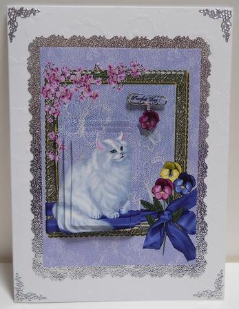 Blue Eyes Kitty by Yvonne Middleton