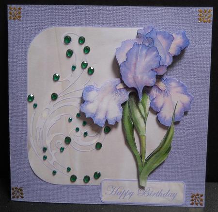 Purple Iris Over the Edge by Yvonne Middleton