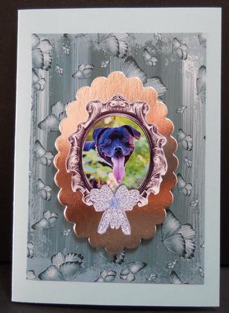 Dusky Teal Painted Butterfly A4 Backing Paper by Yvonne Middleton