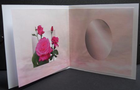 Square Curl Rose Insert by Yvonne Middleton