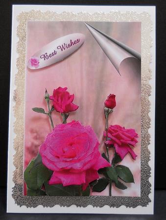 Curl Corner Rose by Yvonne Middleton