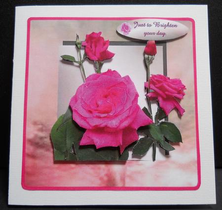 Square Rose by Yvonne Middleton