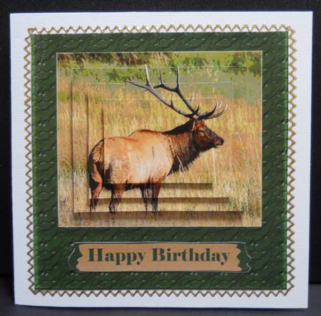 Mountain Elk 1 by Yvonne Middleton
