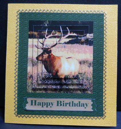 Mountain Elk 2 by Yvonne Middleton