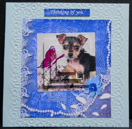I Am Cutie - Blue Frame - Pyramid by Yvonne Middleton