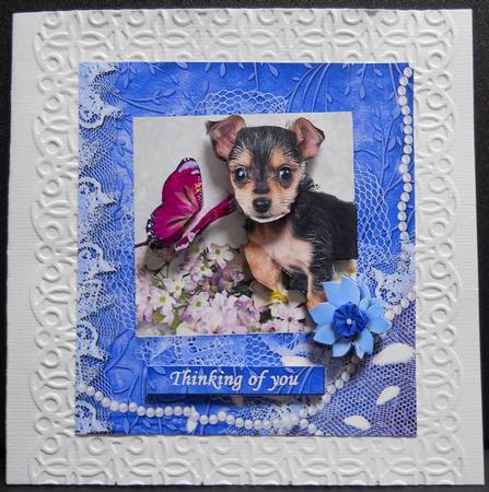 I Am a Cutie - Blue Frame - Decoupage by Yvonne Middleton